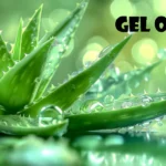 Gel Ooru