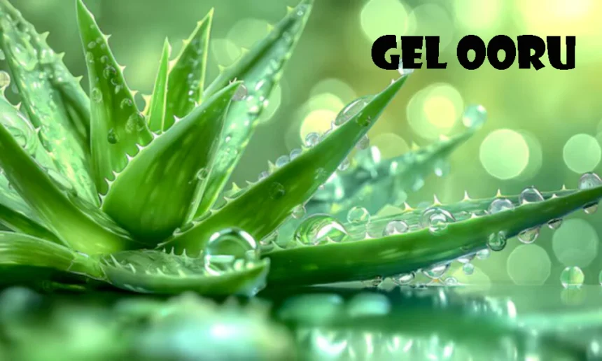 Gel Ooru
